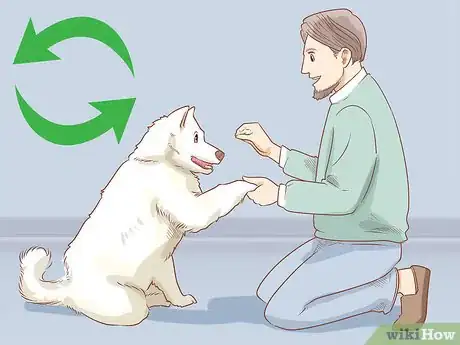 Image titled Stop a Dog from Pawing Step 3