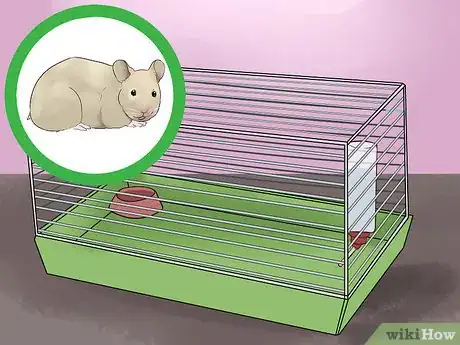 Image titled Choose Hamster Housing and Bedding Step 8