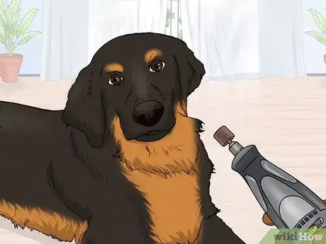 Image titled Use a Rotary Tool to Trim Your Pet's Nails Step 7