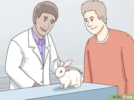 Image titled Keep Pet Rabbits Safe Step 13