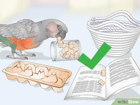 Image titled Keep a Red Bellied Parrot Entertained Step 3