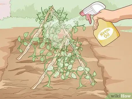 Image titled Use Organic Pesticides for Gardening Step 9