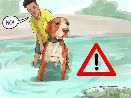 Image titled Protect Your Dog Around Natural Water Sources Step 3