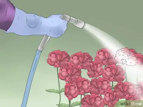 Image titled Grow Poppies Step 10