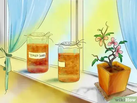 Image titled Plant Tomatoes from Seed Step 9