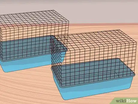 Image titled Introduce a New Guinea Pig to a Community Cage Step 7