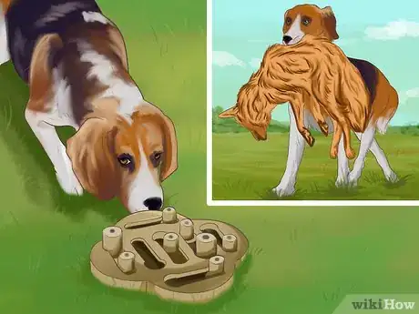 Image titled Adopt a Hound Dog Step 2