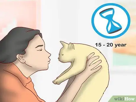 Image titled Know if You're Ready to Get a Cat Step 2