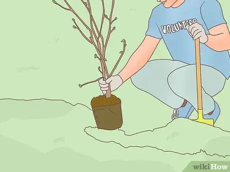 Image titled Become a Forester Step 2