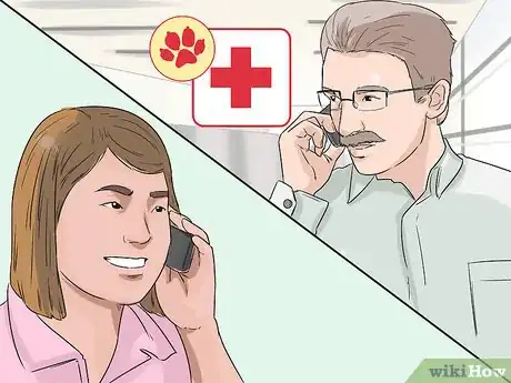 Image titled Detect and Prevent Bloating and Torsion in Dogs Step 6