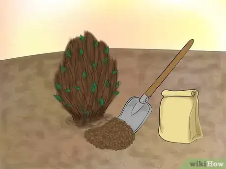 Image titled Grow Knockout Roses Step 10