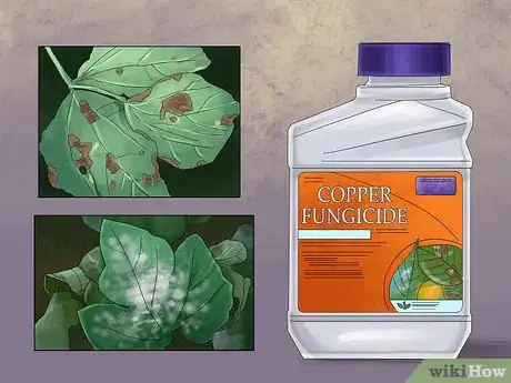 Image titled Buy Organic Fungicides Step 05