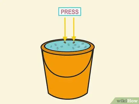 Image titled Plant Night Blooming Jasmine Step 02