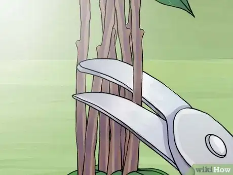 Image titled Prune Spirea Shrubs Step 9