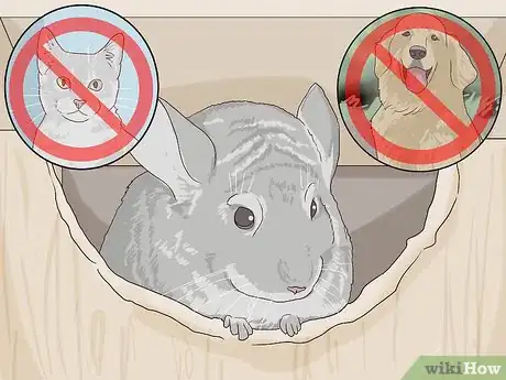 Image titled Give a Chinchilla a Dust Bath Step 5