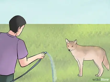 Image titled Deter Coyotes Step 9