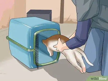 Image titled Approach an Injured Animal Step 8