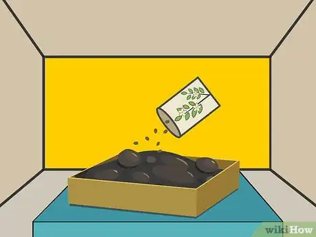 Image titled Plant Night Blooming Jasmine Step 04