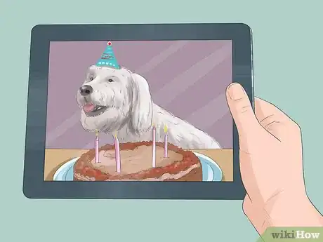 Image titled Figure out Dog Years Step 5