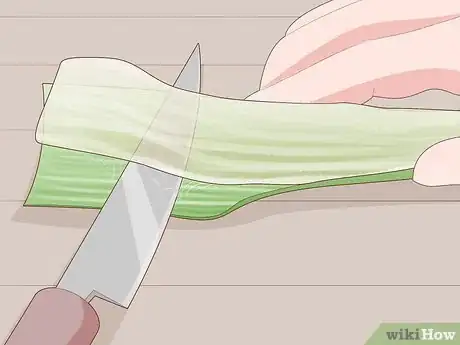 Image titled Keep an Aloe Vera Plant Fresh Step 9