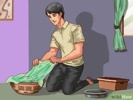 Image titled Take Care of Your Aging Cat Step 2