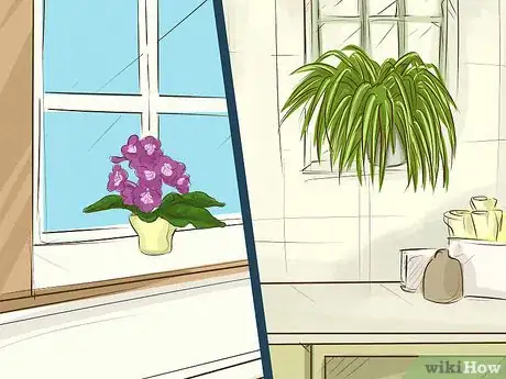 Image titled Choose Houseplants for the Bathroom Step 10