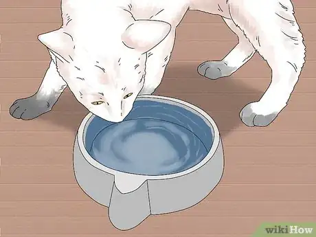 Image titled Handle Mothball Poisoning in Cats Step 7
