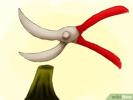 Image titled Plant Pyracantha Step 16