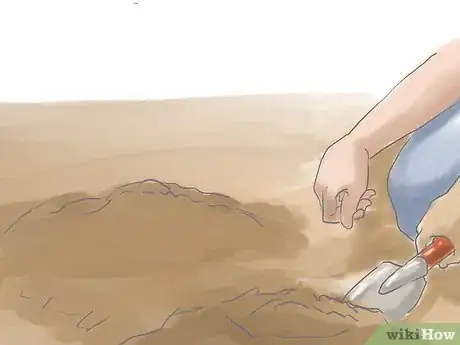 Image titled Grow St John's Wort Step 3