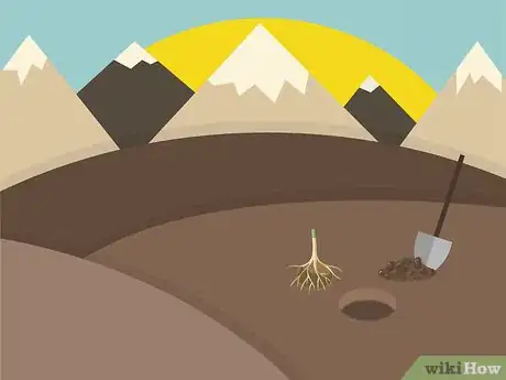 Image titled Plant in Poor Soils Step 05