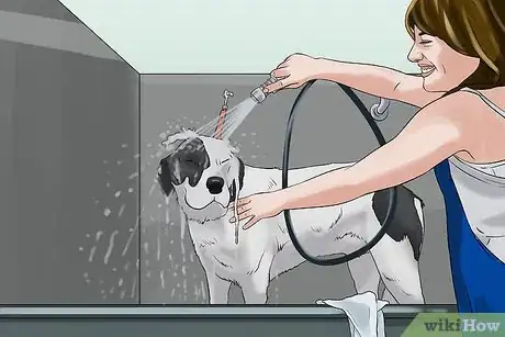 Image titled Look Your Best when Dealing with Allergies Step 15