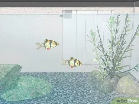 Image titled Acclimate Your Fish to a New Aquarium Step 15