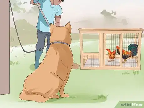 Image titled Introduce a Dog to Pet Chickens Step 12