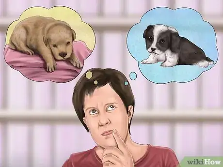 Image titled Know when to Stop Breeding a Male Dog Step 8