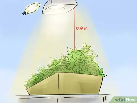 Image titled Grow Herbs Indoors Under Lights Step 6