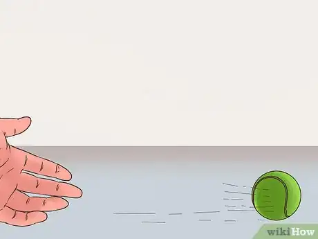 Image titled Play Fetch with a Ferret Step 5