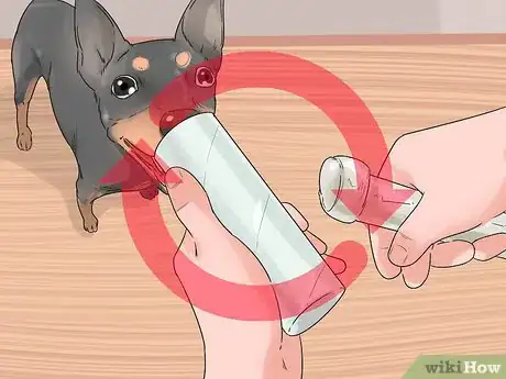 Image titled Get Your Dog to Stop Growling at You when Eating Step 8