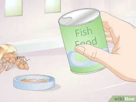 Image titled Hand Feed a Hermit Crab Step 11