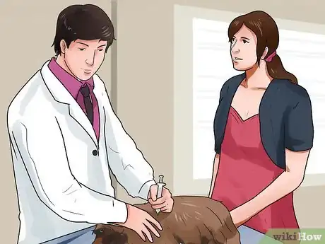 Image titled Get Dogs to Mate Step 14