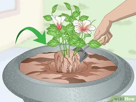 Image titled Plant in Urns Step 7