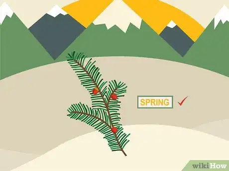 Image titled Plant Yew Step 01