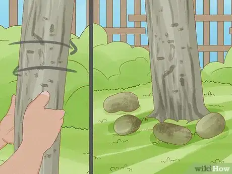 Image titled Grow Pawpaws Step 22