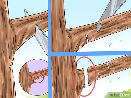 Image titled Prune a Crabapple Tree Step 3