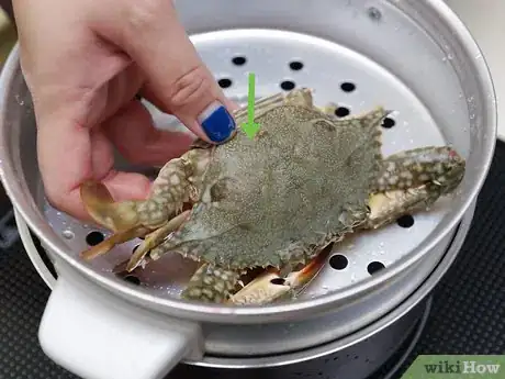 Image titled Cook a Crab Step 6