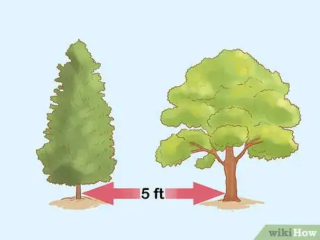 Image titled Plant Leyland Cypress Step 5