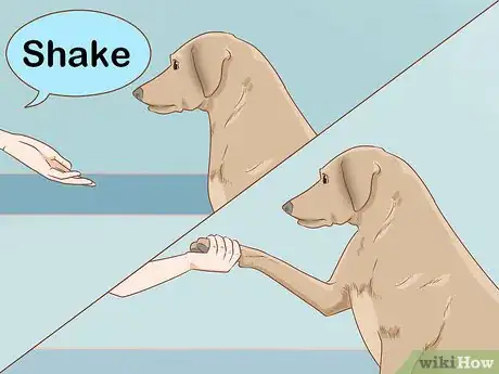 Image titled Stop a Dog from Pawing Step 2