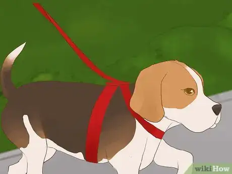 Image titled Catch Your Dog when They Run After Another Dog or Person Step 9