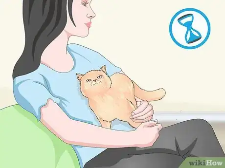 Image titled Manage Wool Sucking in Cats Step 5
