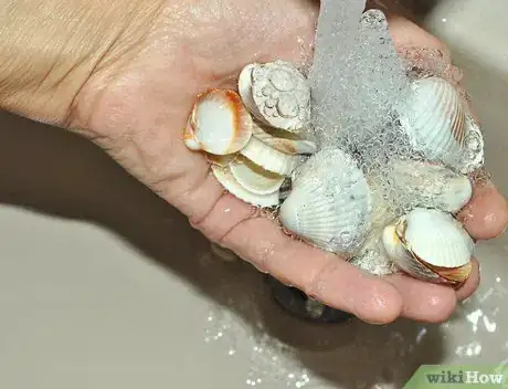 Image titled Make a Seashell Planter Step 2