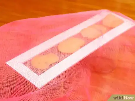 Image titled Dehydrate Vegetables Step 5